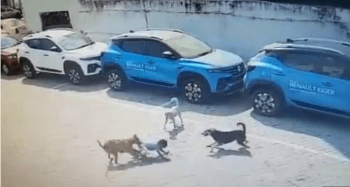 In Hyderabad, A 4-year-old boy was mauled to death