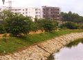 thejaswini save green