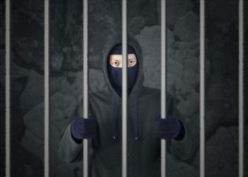 thieves arrested by jeevan bhima nagar police