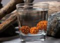 Drinking Rudraksha Water Daily is Beneficial For Health Therapy benefits