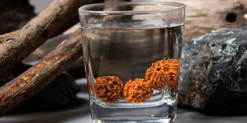 Drinking Rudraksha Water Daily is Beneficial For Health Therapy benefits