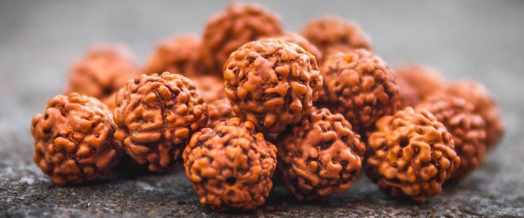 5 Mukhi Rudraksha in water therapy