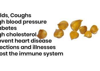 Kashmiri Garlic Benefits cold cough high blood pressure diabetes high cholesterol heart disease infections illnesses health benefit