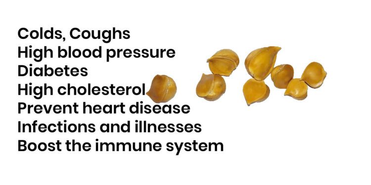 Kashmiri Garlic Benefits cold cough high blood pressure diabetes high cholesterol heart disease infections illnesses health benefit